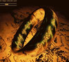 The Lord of the Rings Online
